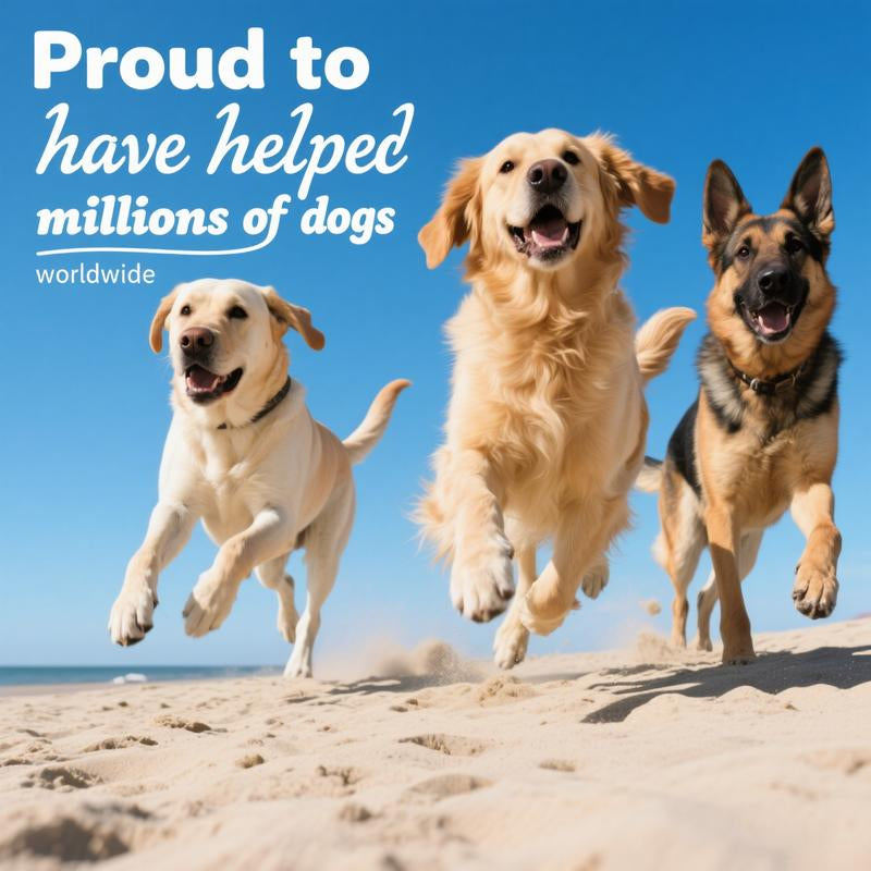 Probiotics for Dogs, 8-In-1 Multivitamin Soft Chews, Gut & Immune Support – Natural Pork Flavor