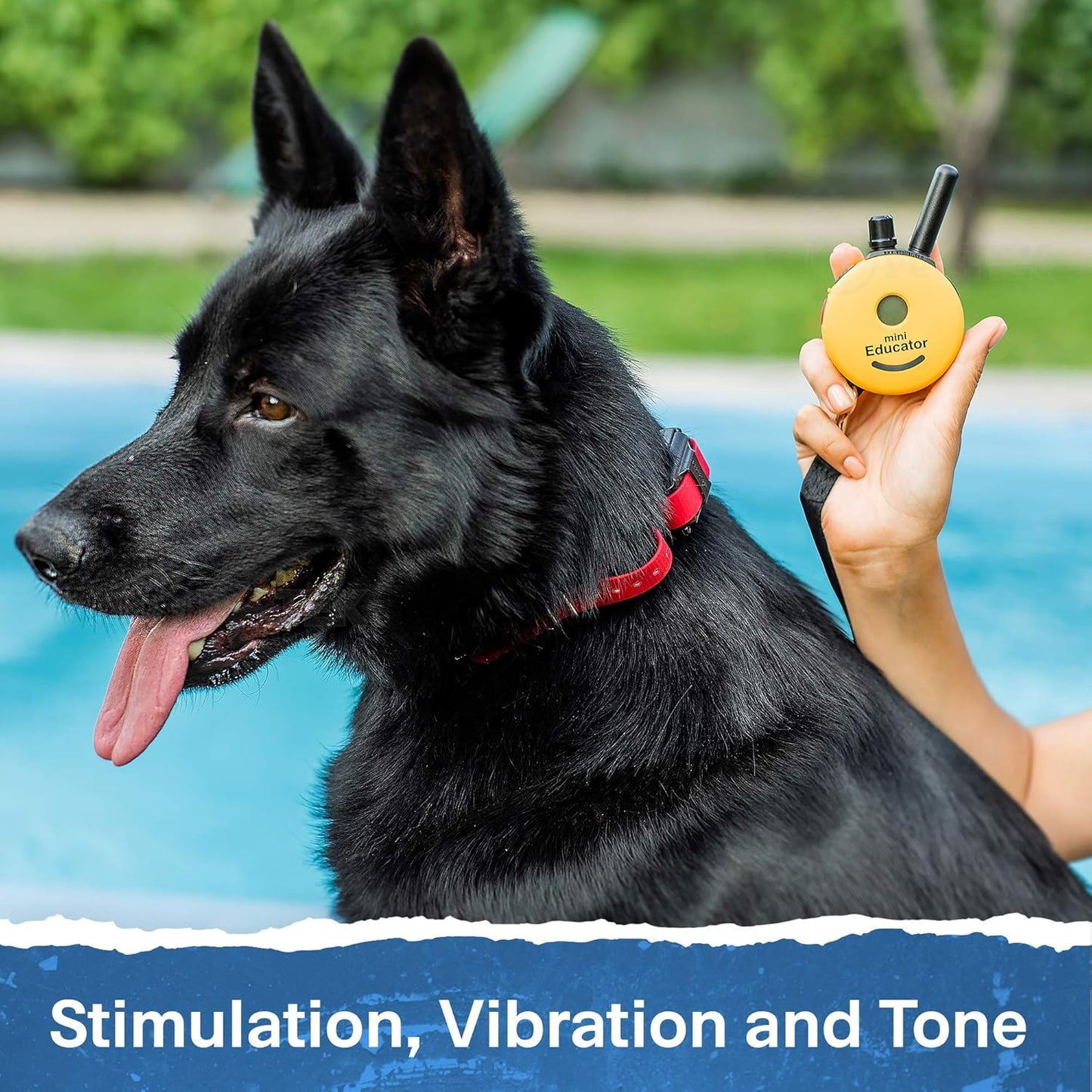 E-Collar - ET-300-1/2 Mile Remote Waterproof Trainer Mini Remote Training Collar - 100 Training Levels plus Vibration and Sound - Includes Petstek Dog Training Clicker