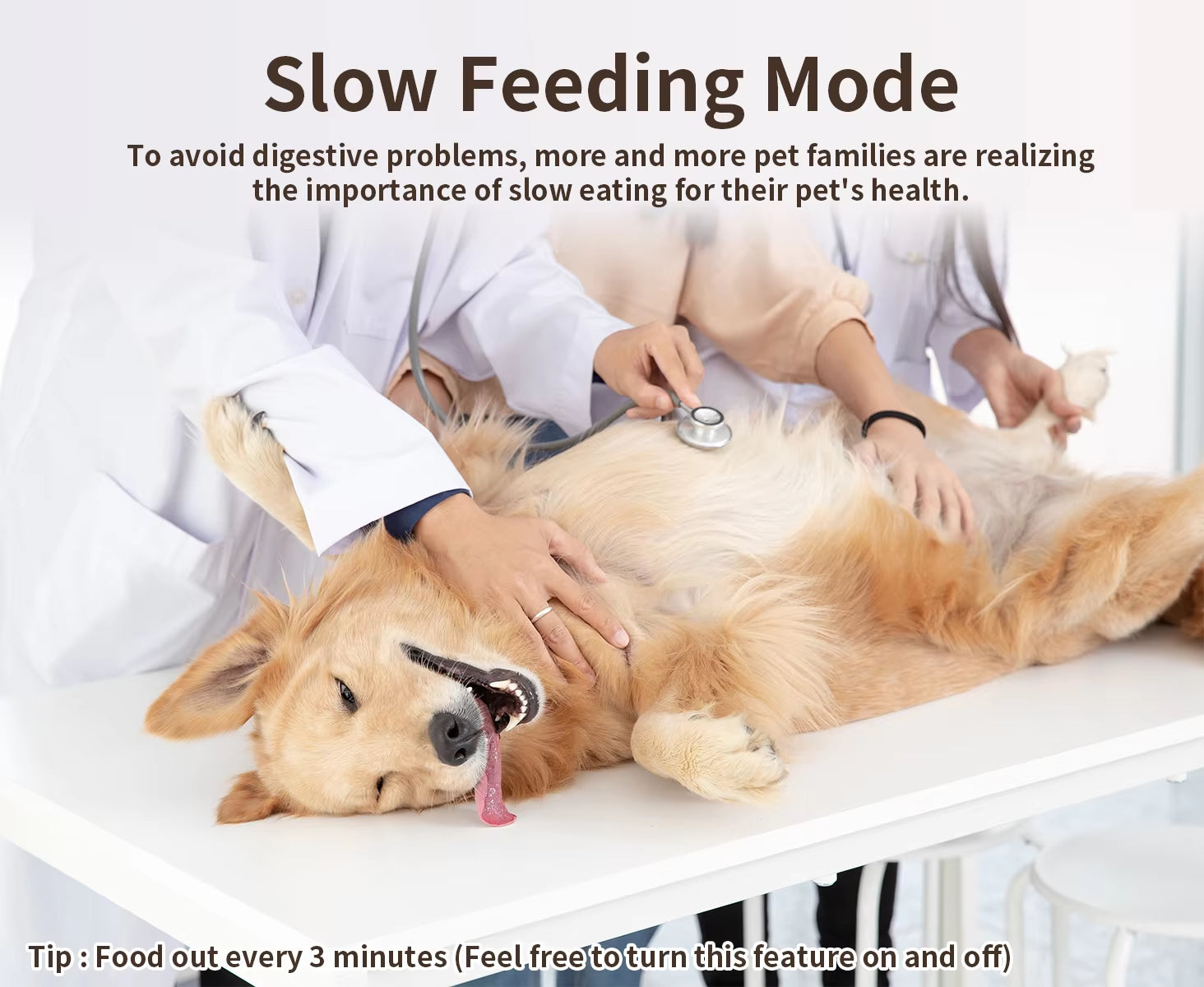 Smart Automatic Dog Feeders Wifi Pet Feeder with APP Control for Remote Feeding Detachable for Easy Clean Dog Food