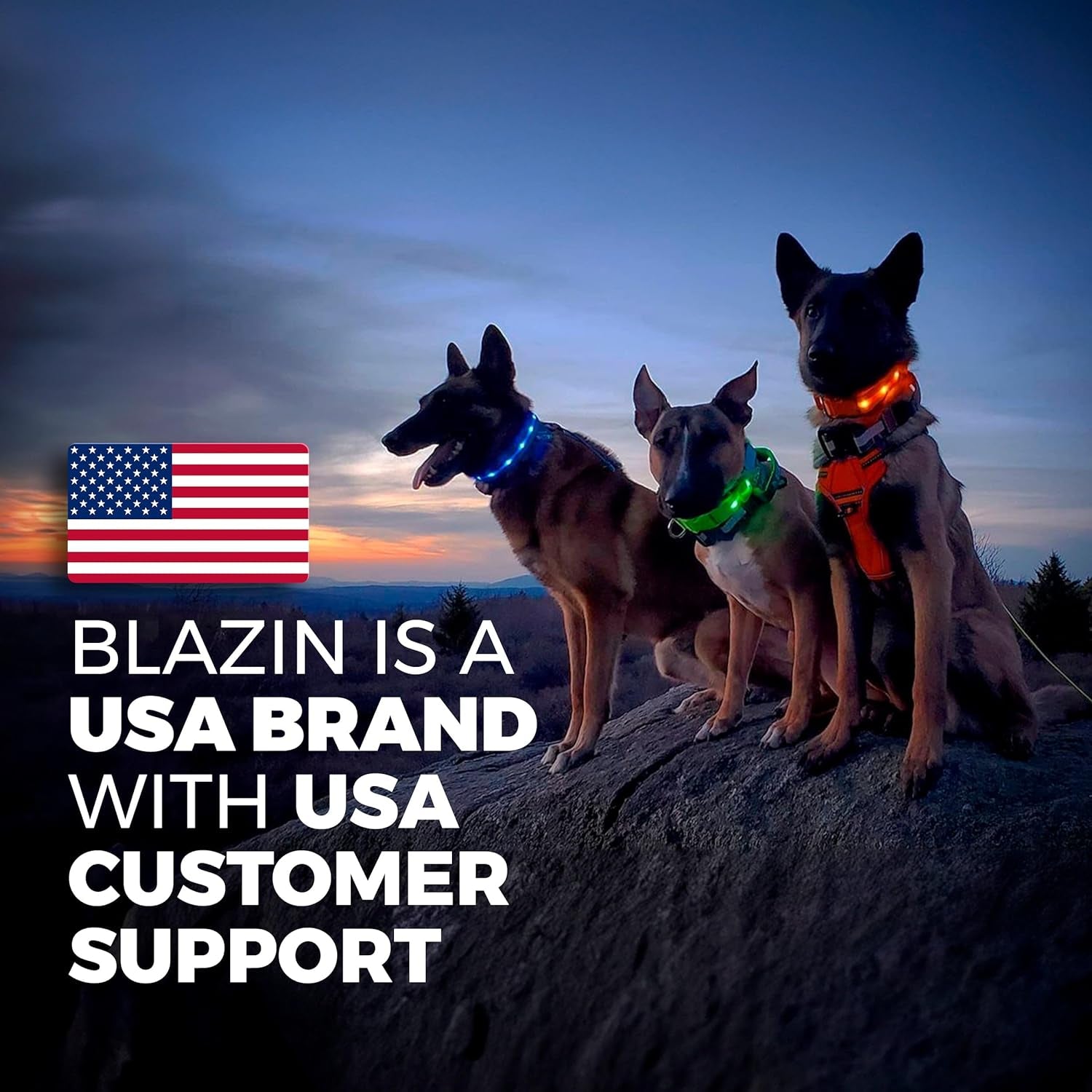 Light up Dog Collar - the Original LED Dog Collar - USB Rechargeable - Waterproof - 1,000 Feet of Visibility - Dog Collar Light for Small, Medium, Large Dogs - US Brand