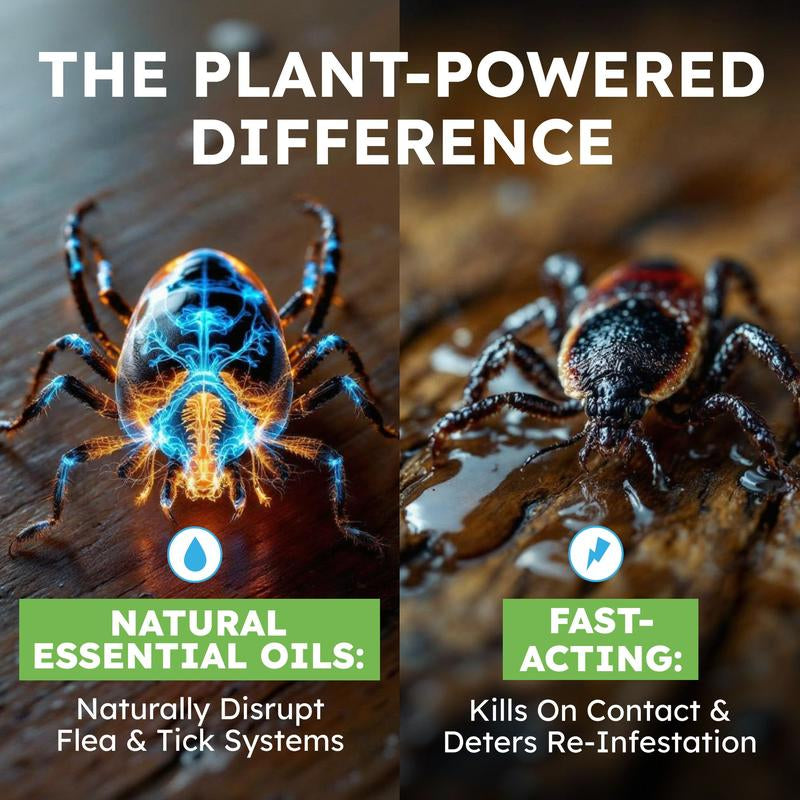 Bugmd Flea & Tick Spray for Dogs, Cats & Home – Plant-Based Formula with Cedarwood Oil – Indoor/Outdoor Use – 16 Oz