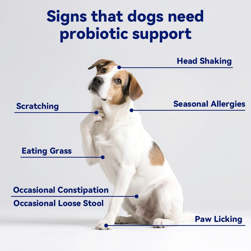 Probiotics for Dogs, 8-In-1 Multivitamin Soft Chews, Gut & Immune Support – Natural Pork Flavor