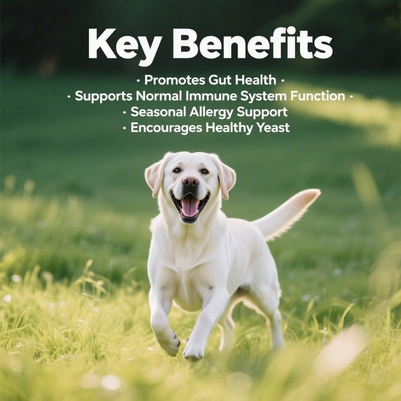 Probiotics for Dogs, 8-In-1 Multivitamin Soft Chews, Gut & Immune Support – Natural Pork Flavor